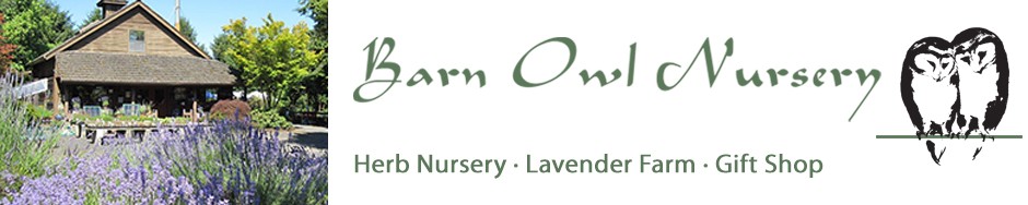 Barn Owl Nursery